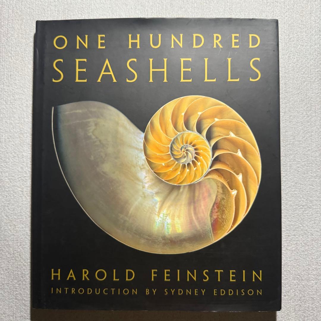 One Hundred Seashells 自然 貝 アート 写真集