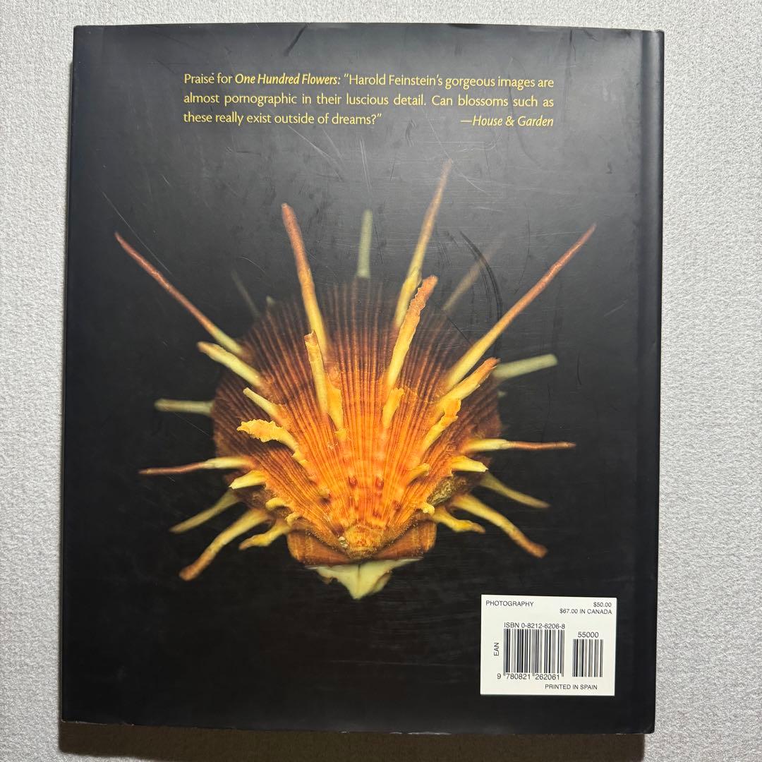 One Hundred Seashells 自然 貝 アート 写真集