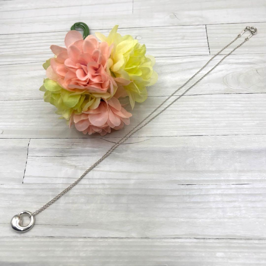 TIFFANY.Co.【極美品】エターナルサークルネックレス　925 付属品付