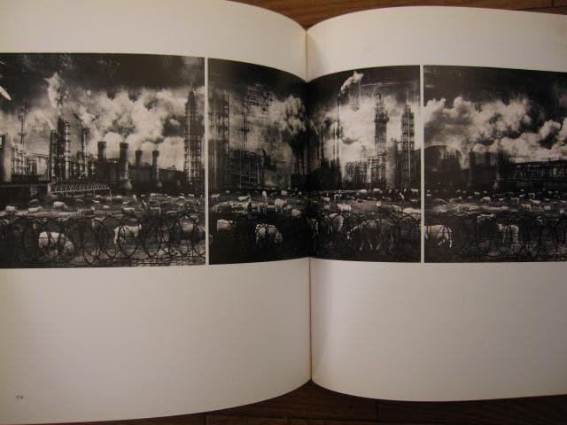 Marcin Owczarek - Paradise Lost　失楽園