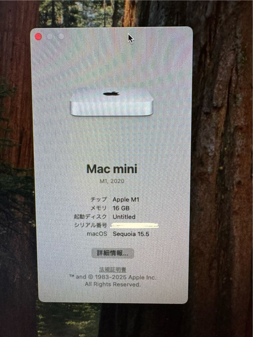 Apple Mac mini M1（2020）16GB / 1TB SSD 本体