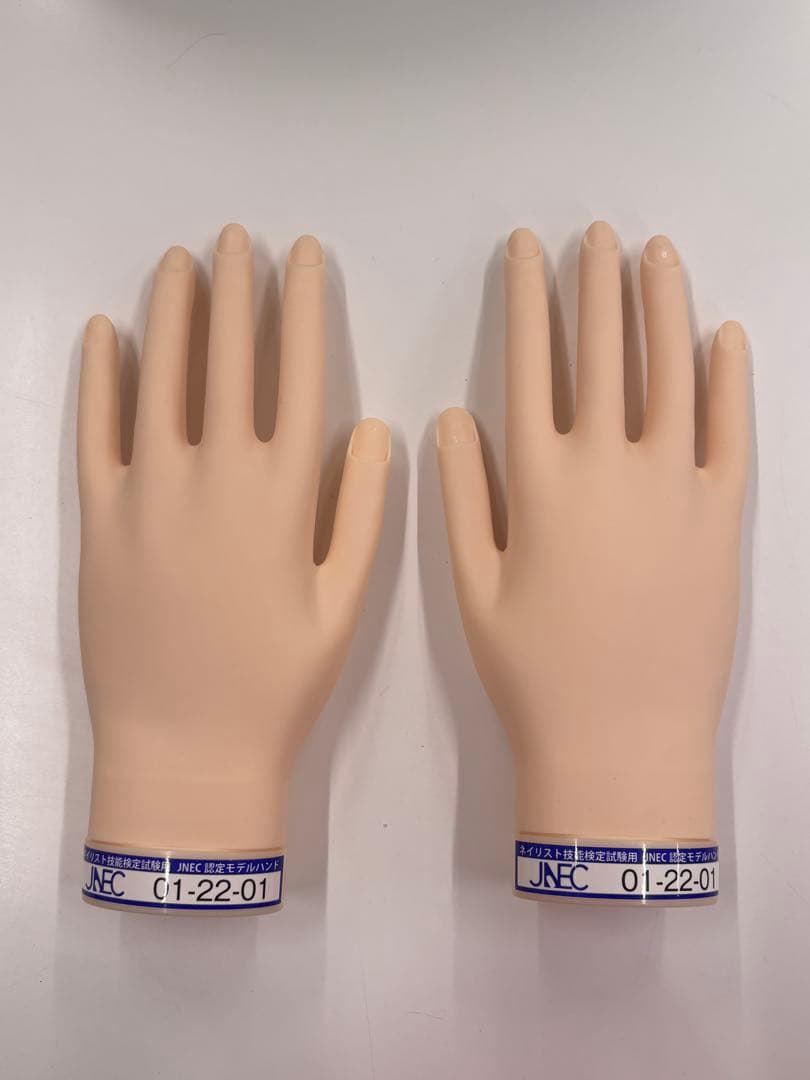 STモデルハンド両手