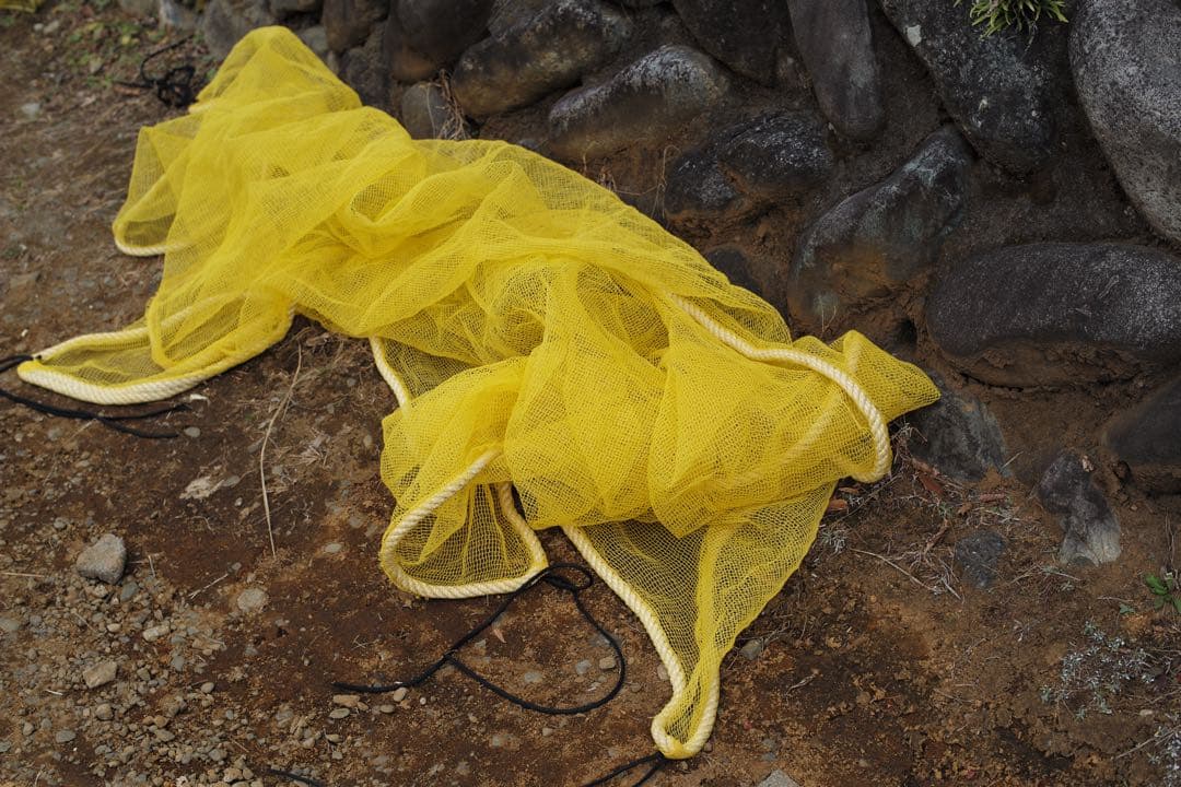 Canon Serenar 50mm f/1.9レンズ Lマウント L39