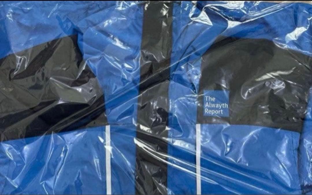 Marmot The Alwayth Report ジャケット size XL