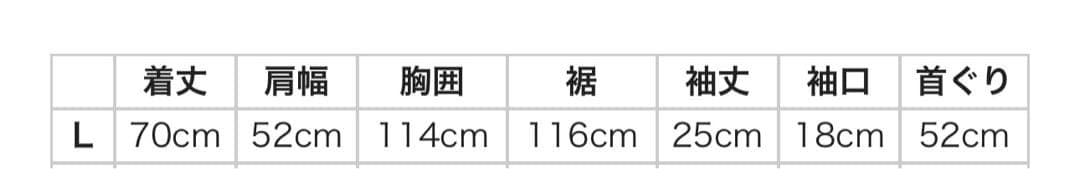 KAPITAL 20 天竺クルーT BUSTER PECKISHBOWYpt