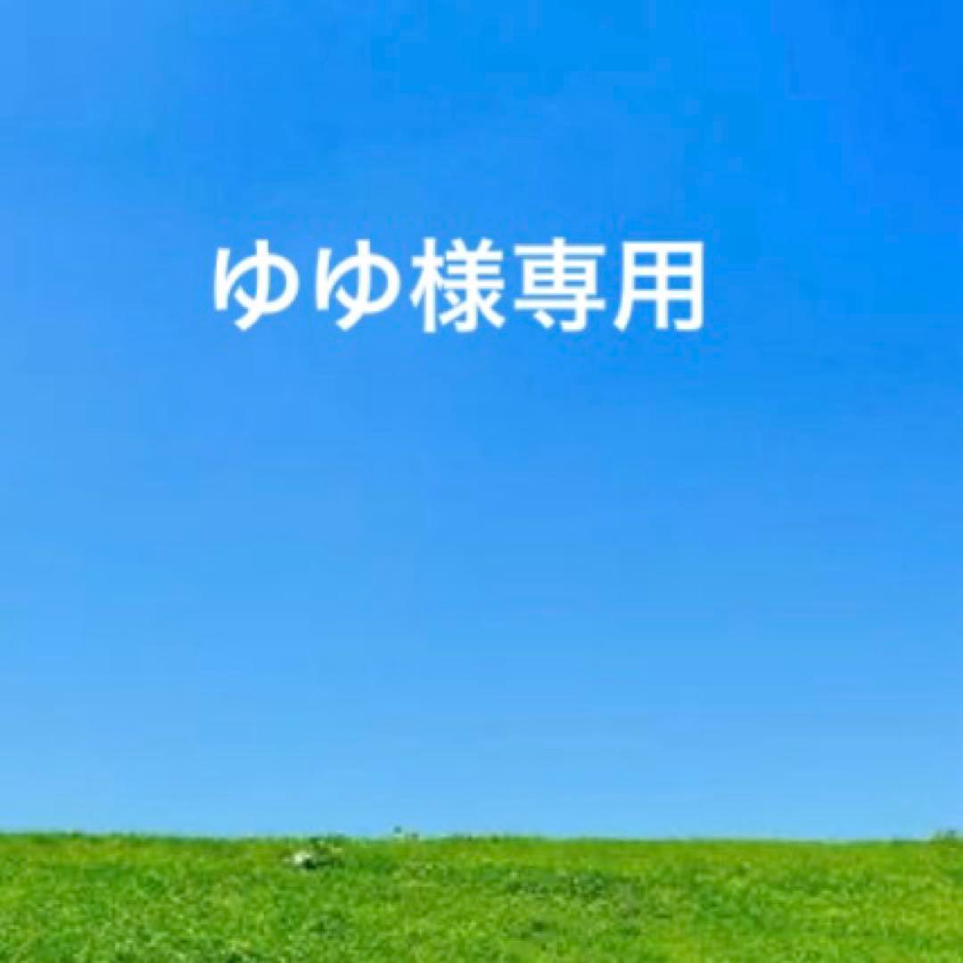 未使用ANNA SUI レザーがま口長財布　バタフライ　エンボス　ローズ　箱付き