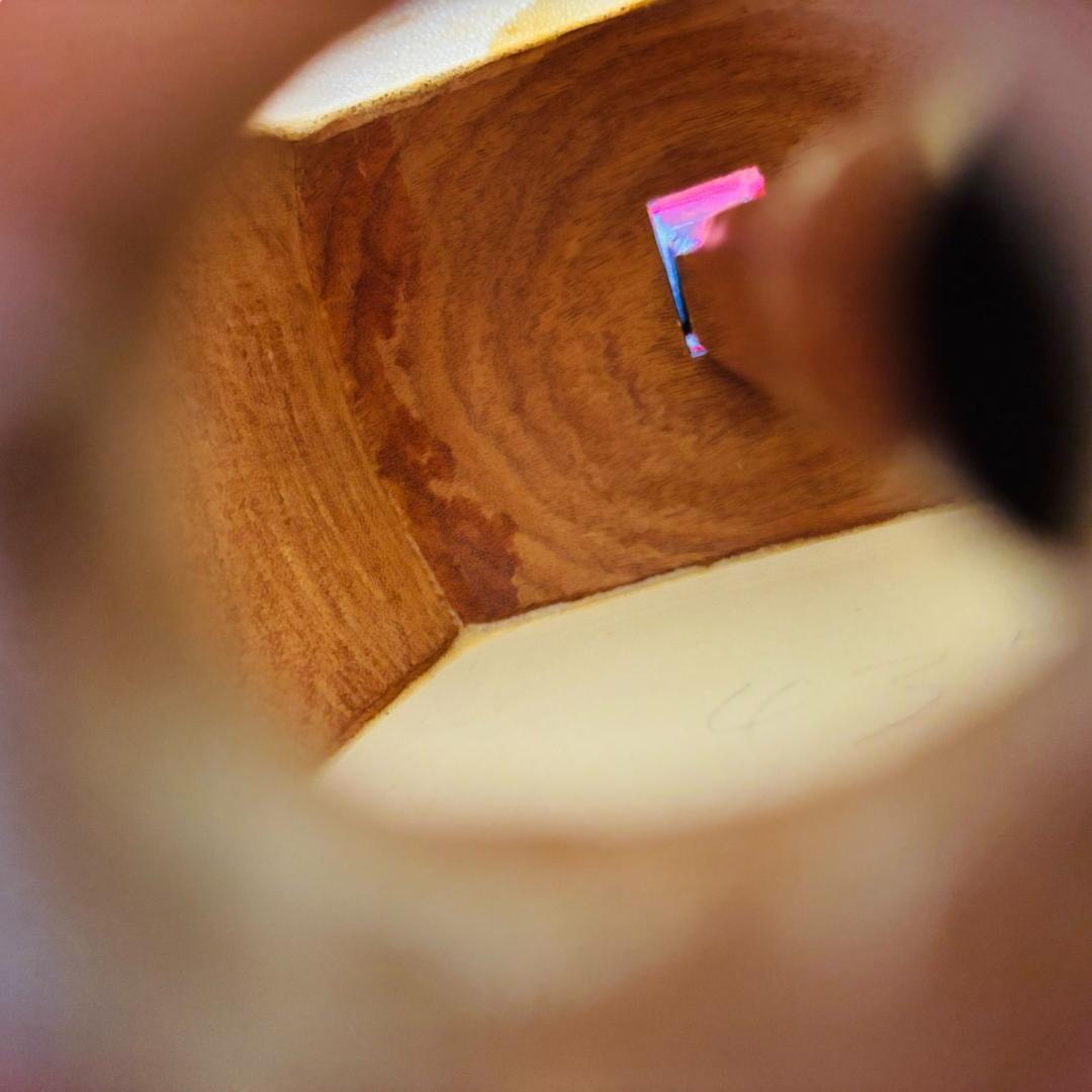 津軽三味線 太棹 本体 ハードケース付き バチ・弦付属