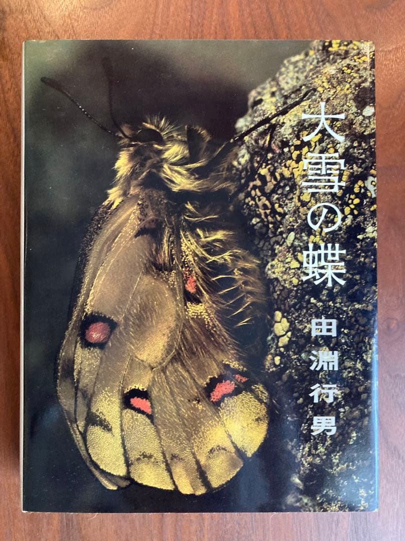 田淵行男 写真集 大雪の蝶 希少 希少本　レア