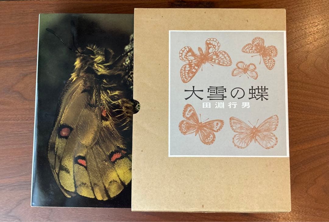 田淵行男 写真集 大雪の蝶 希少 希少本　レア