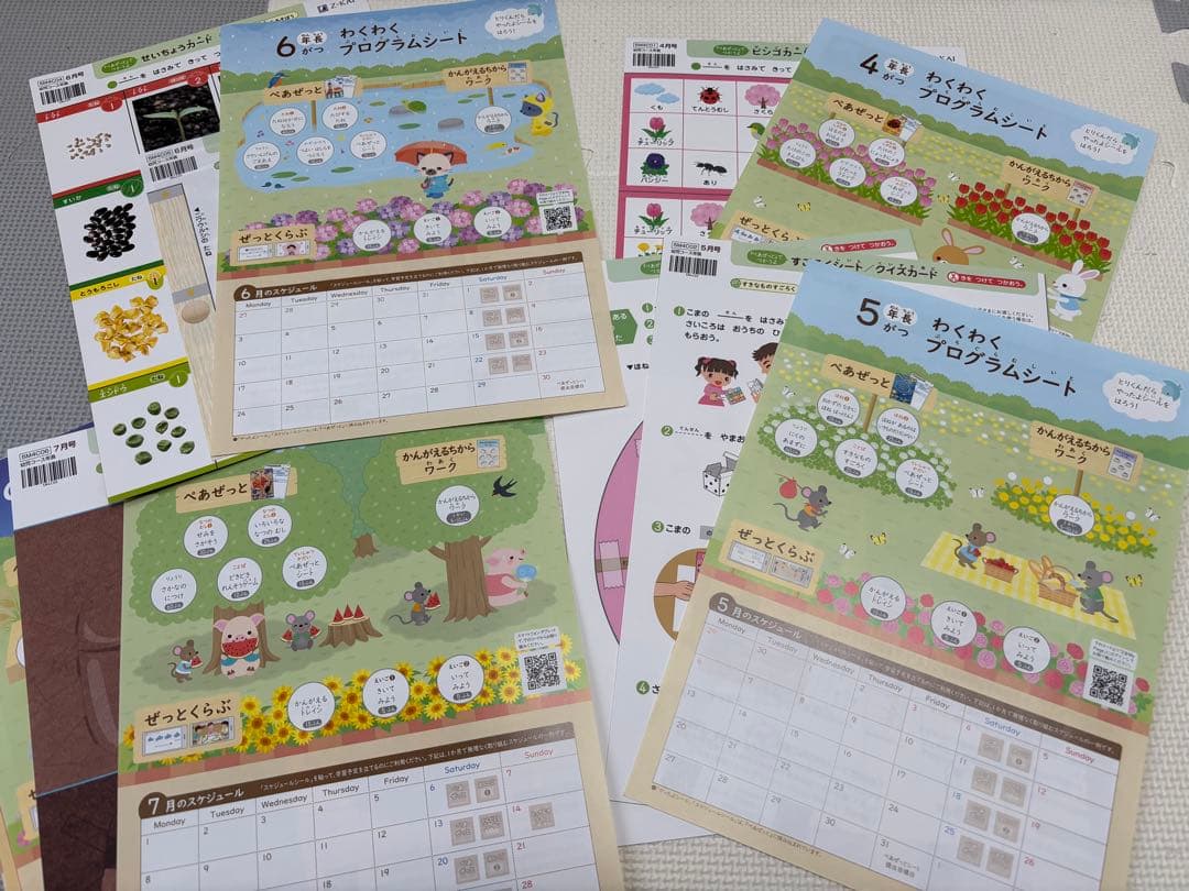 新品未使用⭐︎Z会⭐︎ぺあぜっと1年分⭐︎年長