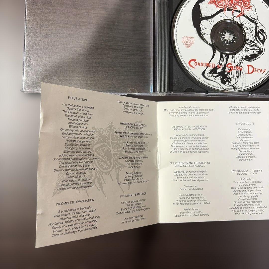 洋楽 Gore/ consumed by slow decay