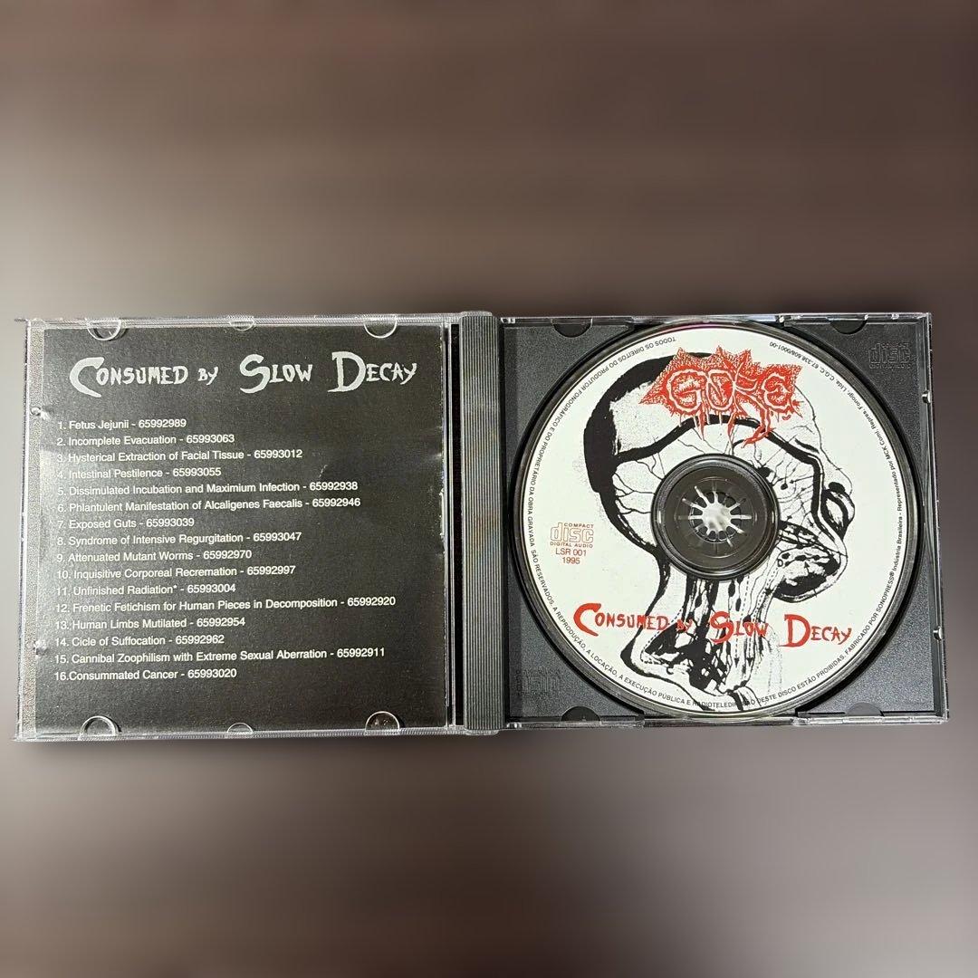 洋楽 Gore/ consumed by slow decay