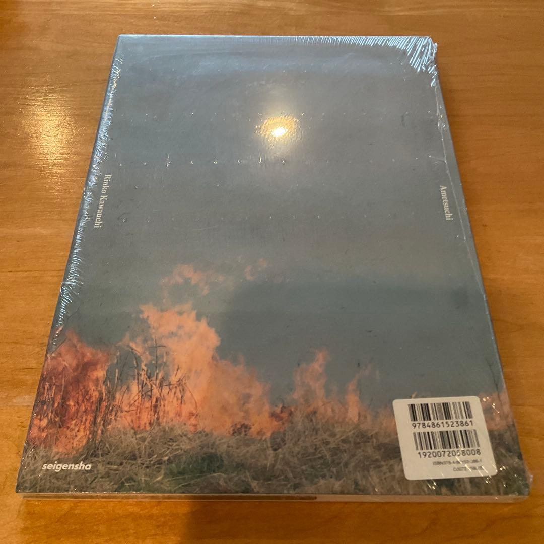 シュリンク破れなし未開封　川内倫子 / あめつち 完全版