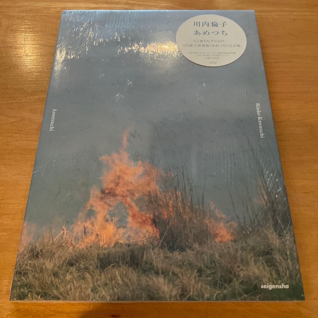 シュリンク破れなし未開封　川内倫子 / あめつち 完全版