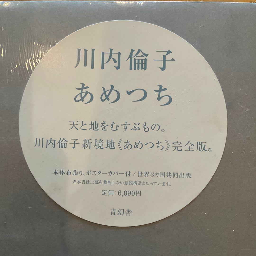 シュリンク破れなし未開封　川内倫子 / あめつち 完全版