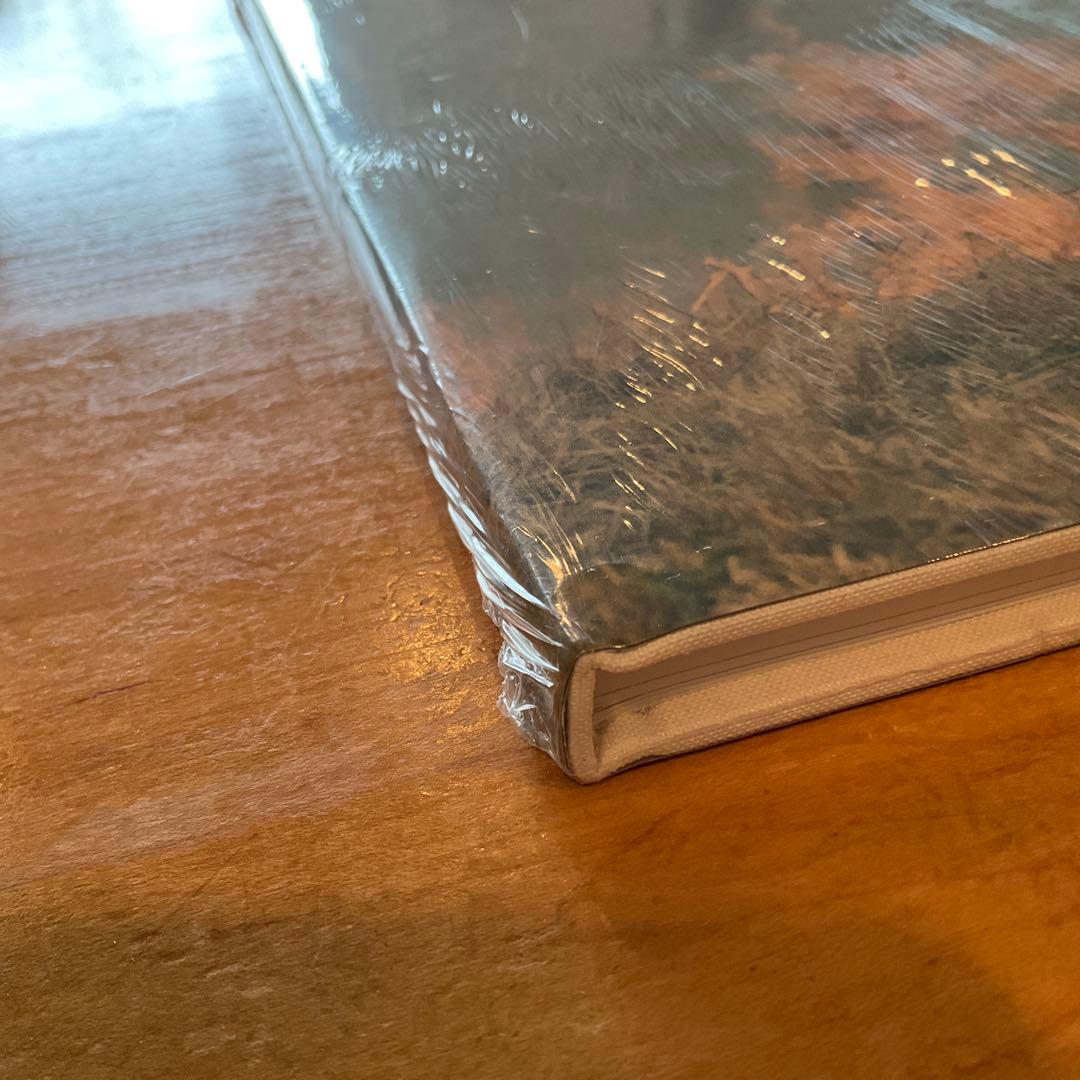 シュリンク破れなし未開封　川内倫子 / あめつち 完全版