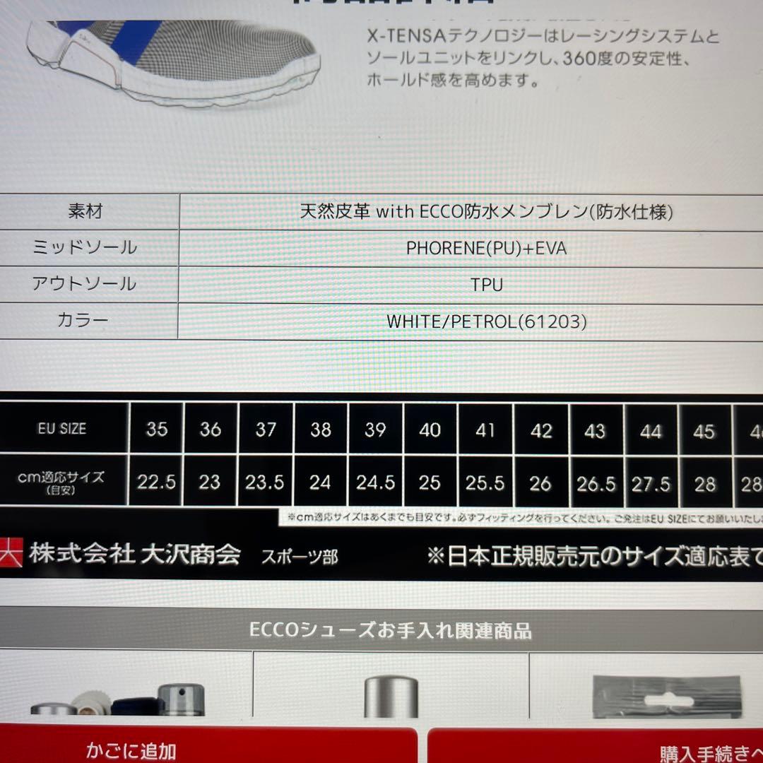 [超美品] ecco エコー　LT1BOA