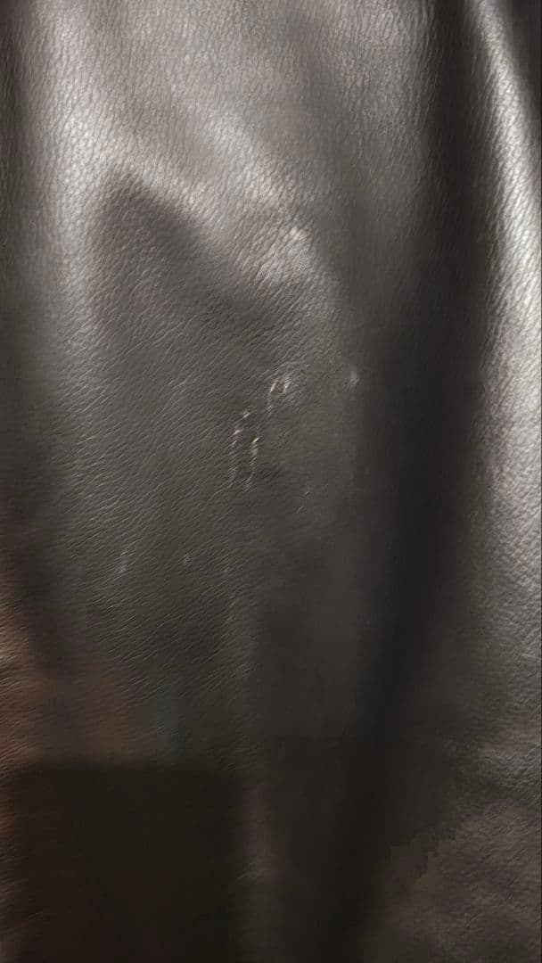 レザーライダースジャケット Rookie Leathers Lサイズ