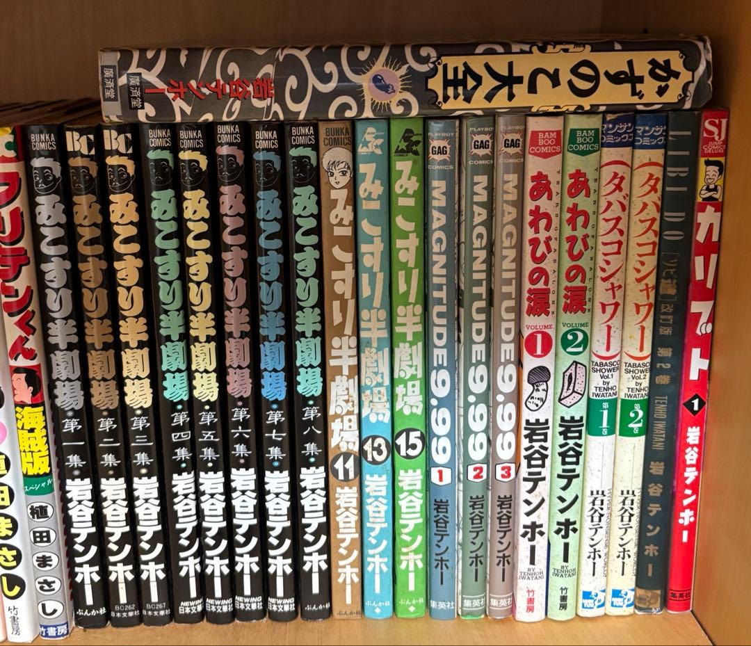岩谷テンホー シリーズ　セット販売　限定価格　希少　レア　お買い得　全21巻