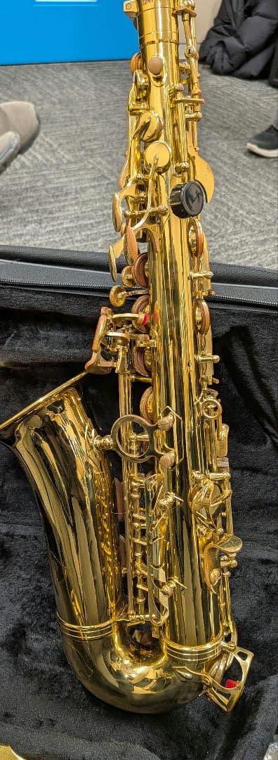 ケルントナーアルトサックス