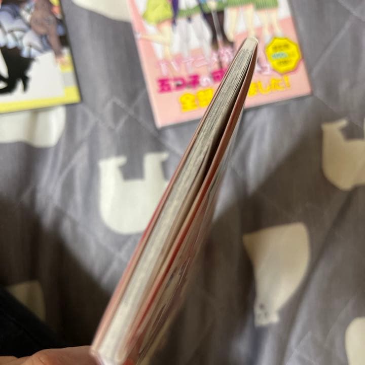 五等分の花嫁 0巻　特装版特典　公式設定資料