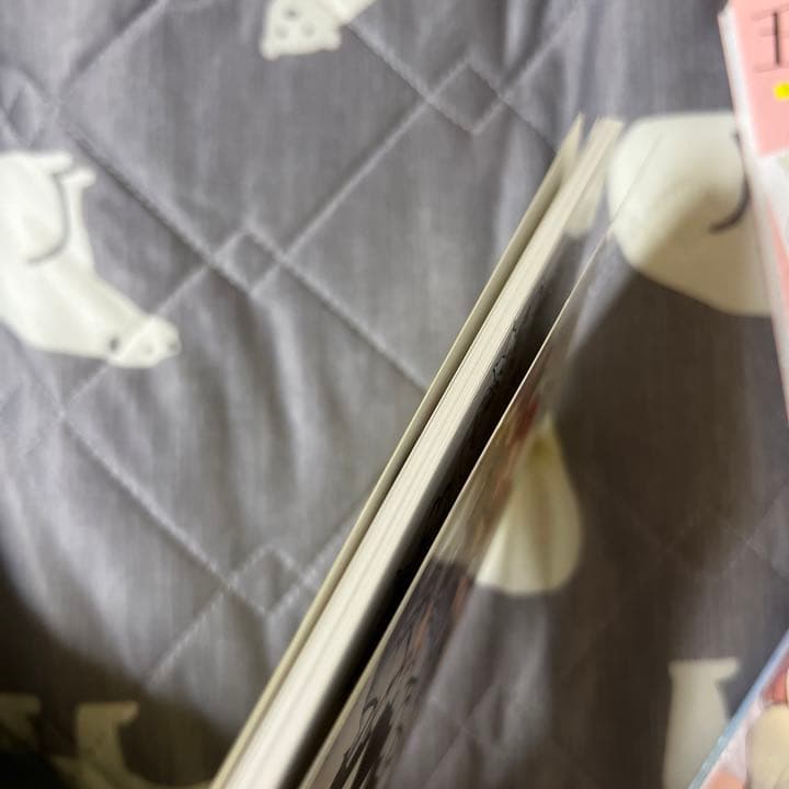 五等分の花嫁 0巻　特装版特典　公式設定資料