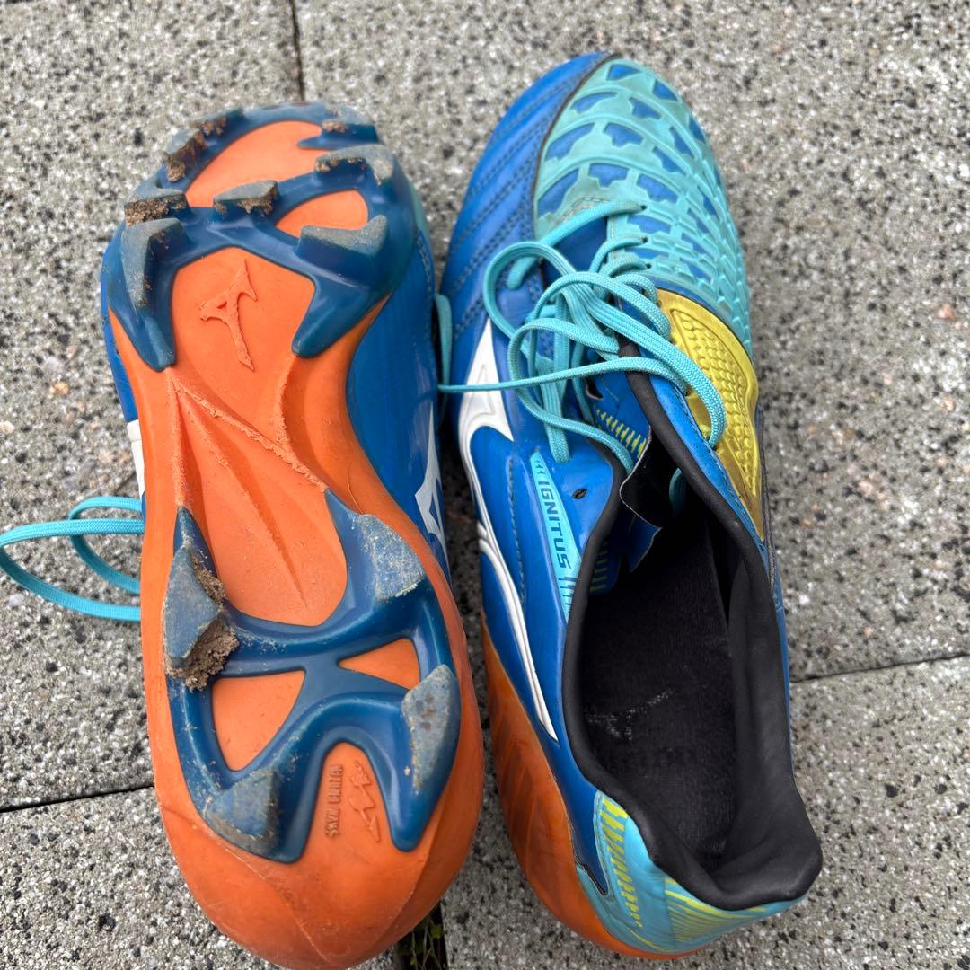 イグニタス　25.5