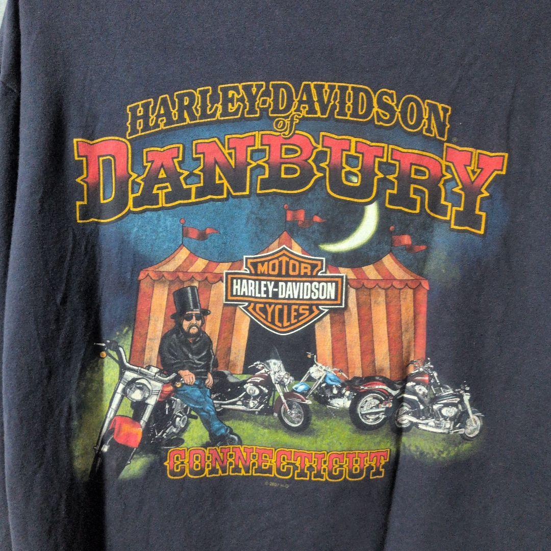 ハーレーダビッドソン　ロンＴ　袖ブルーフレイム　XL