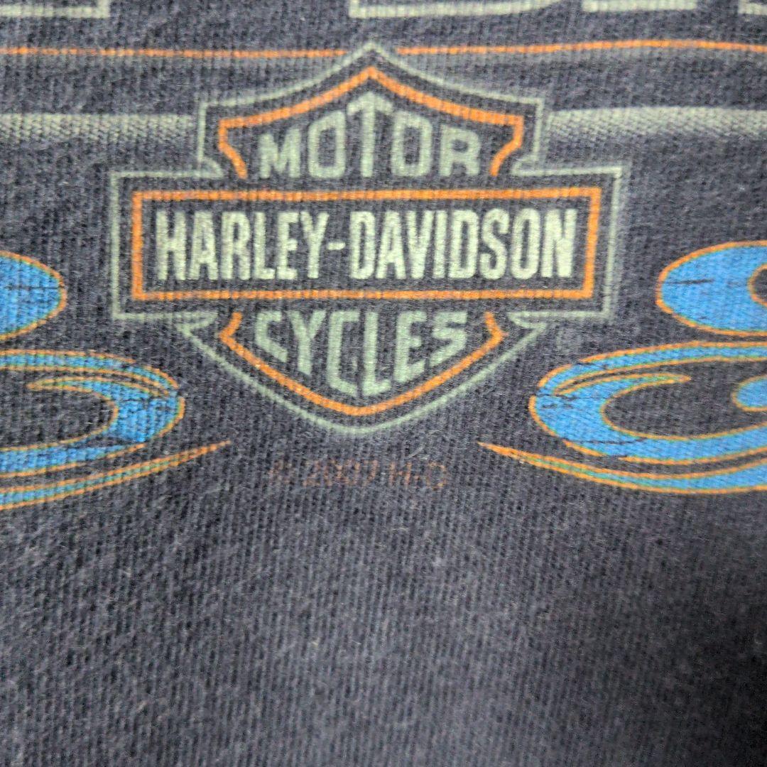 ハーレーダビッドソン　ロンＴ　袖ブルーフレイム　XL