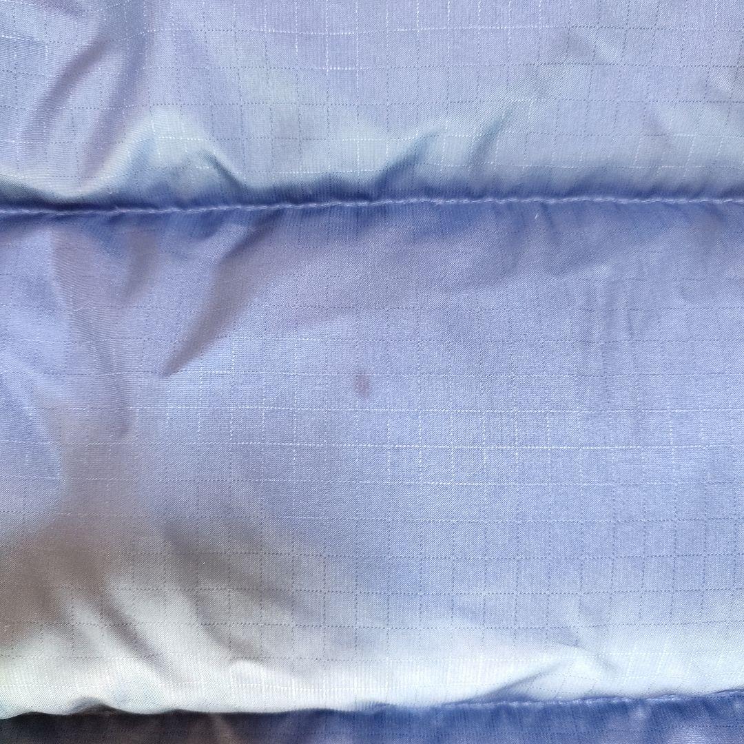 【肉厚】patagonia メンズ ダウンベスト L 青