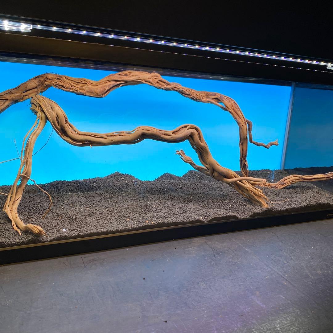 MTW-6751 蔦流木2本セット　90cm水槽用流木　アクアリウム