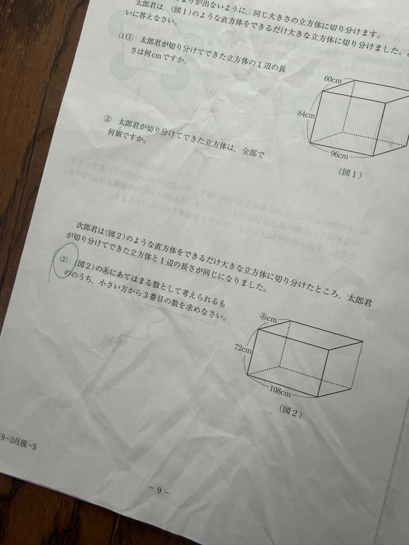 SAPIX 5年 2019年度マンスリー復習テスト組分けテスト一年分