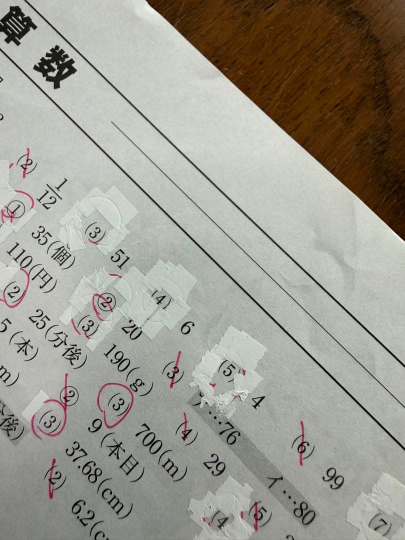 SAPIX 5年 2019年度マンスリー復習テスト組分けテスト一年分