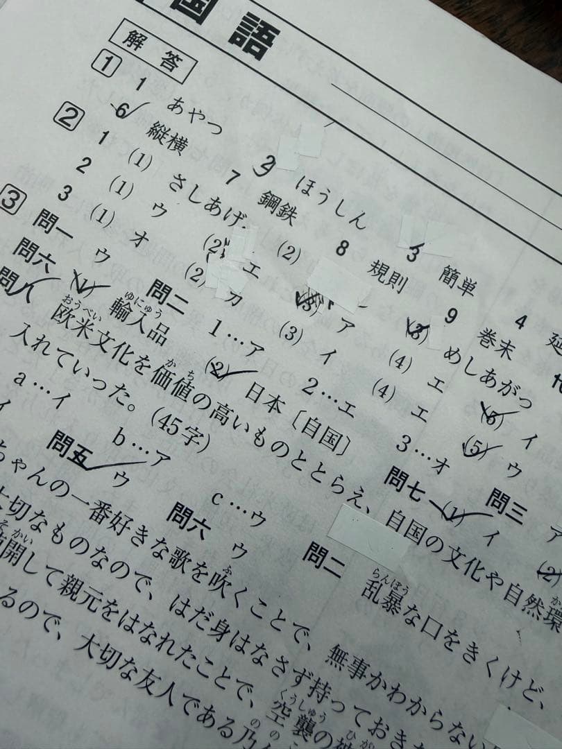 SAPIX 5年 2019年度マンスリー復習テスト組分けテスト一年分