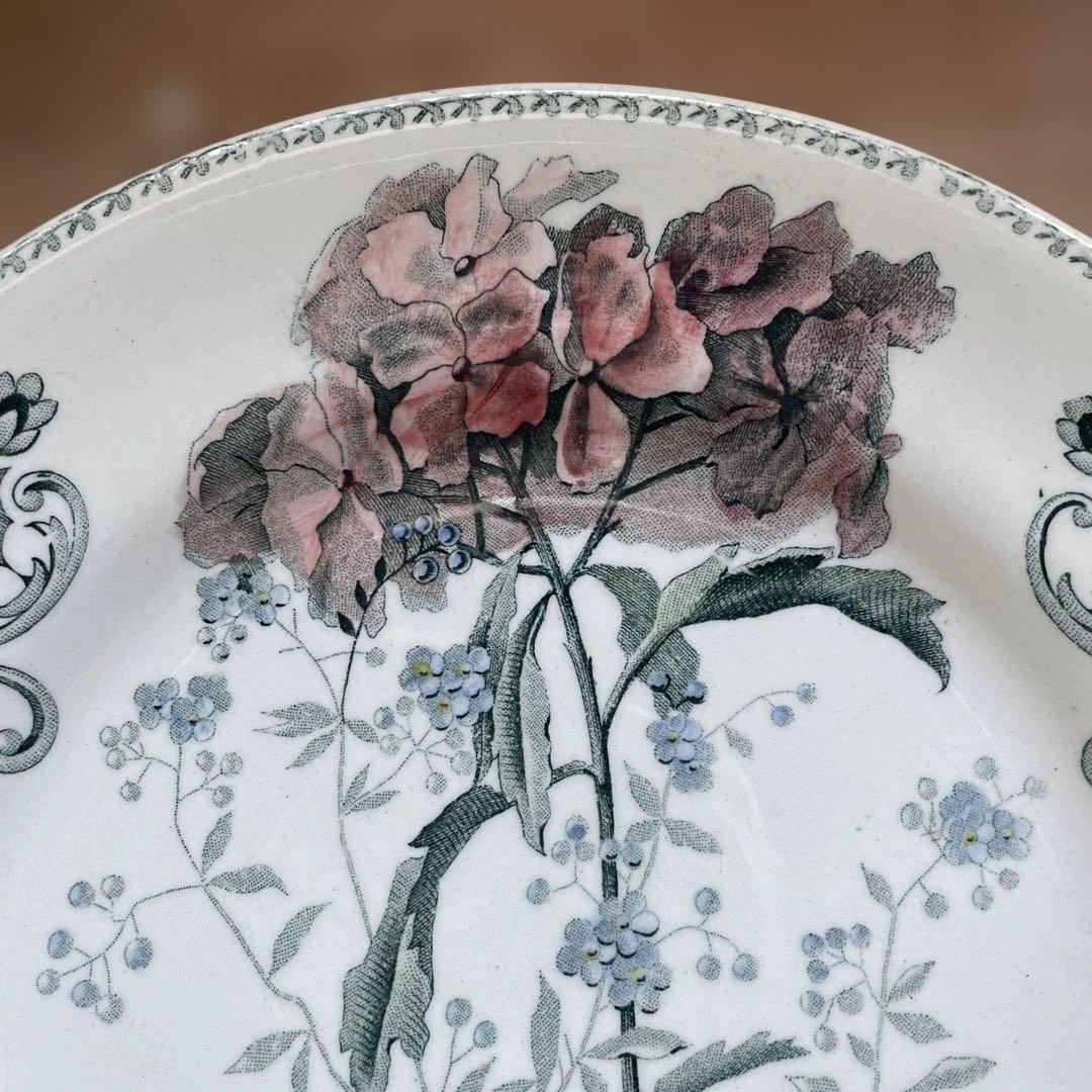 Choisy FLEURS COUPLES 切り花