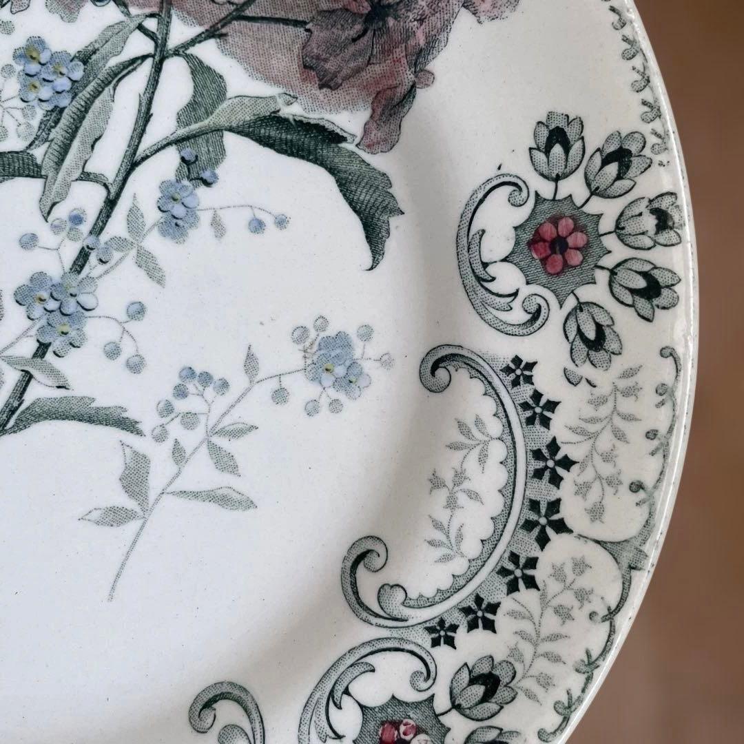 Choisy FLEURS COUPLES 切り花