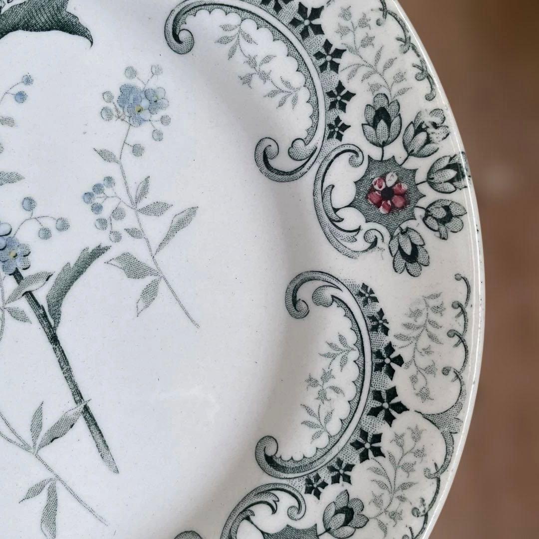 Choisy FLEURS COUPLES 切り花