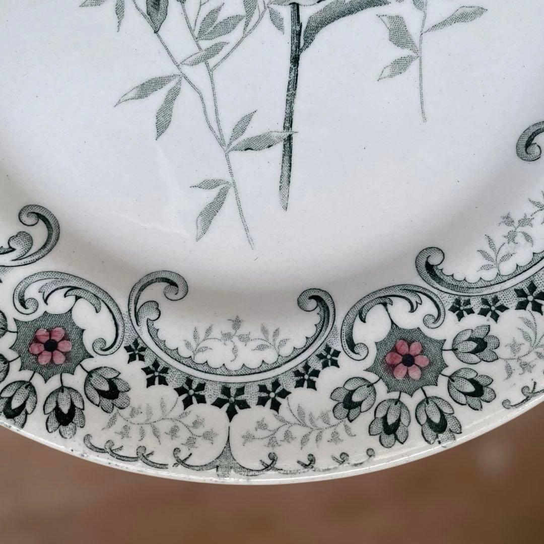 Choisy FLEURS COUPLES 切り花