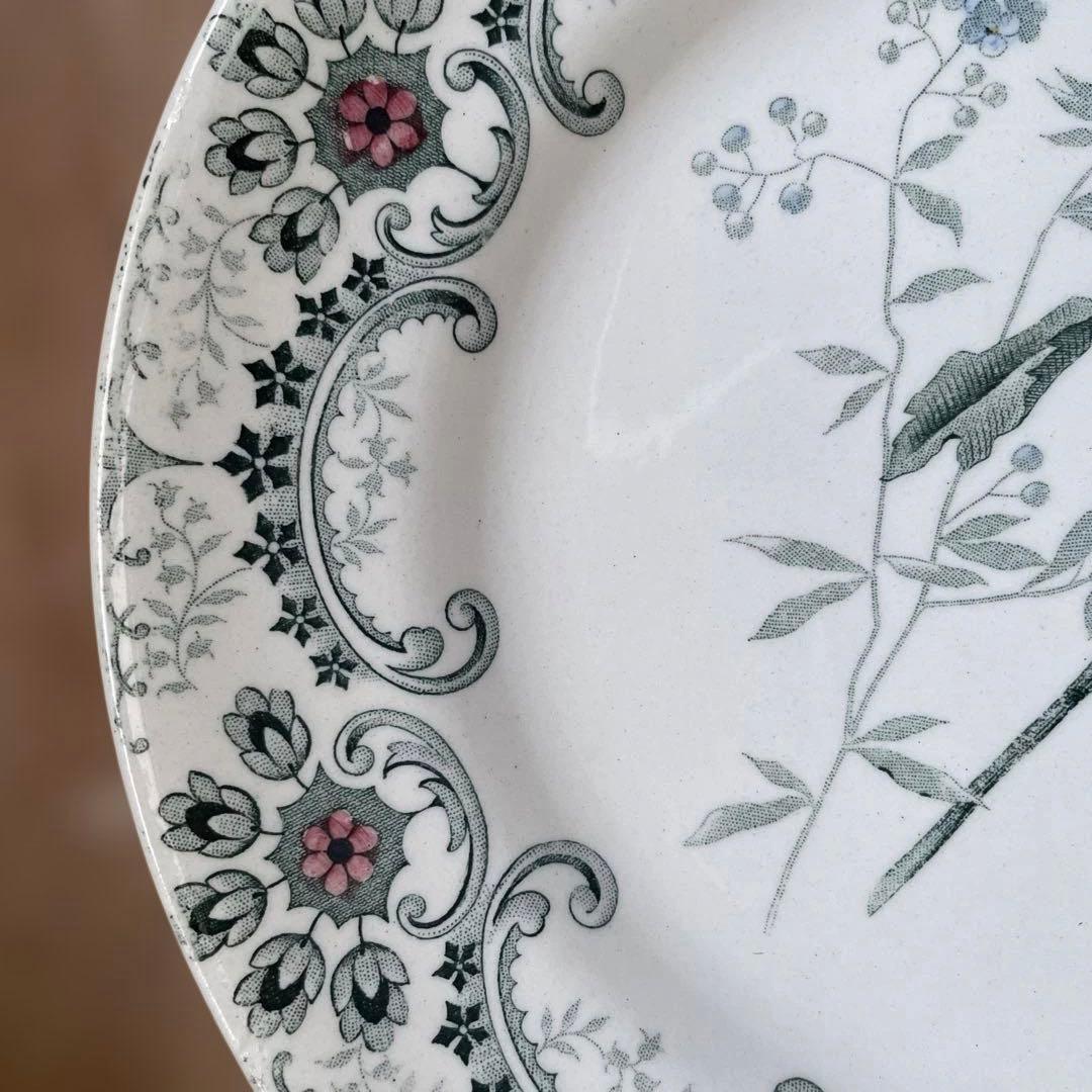 Choisy FLEURS COUPLES 切り花