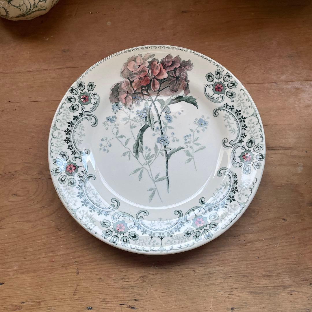 Choisy FLEURS COUPLES 切り花