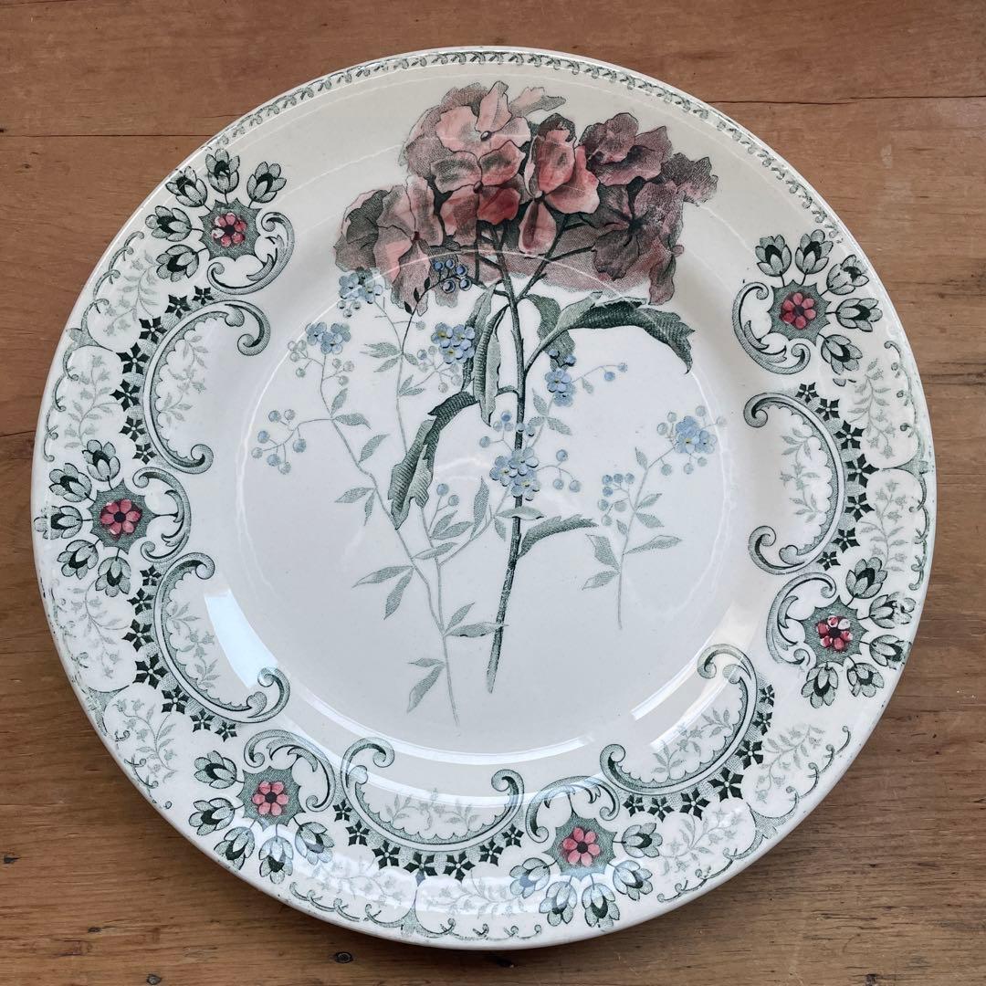 Choisy FLEURS COUPLES 切り花