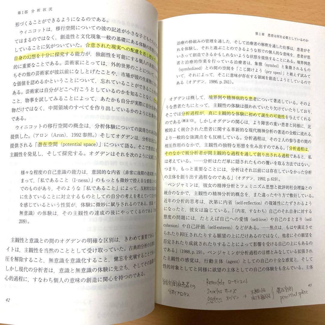 関係精神分析の視座―分析過程における希望と怖れ