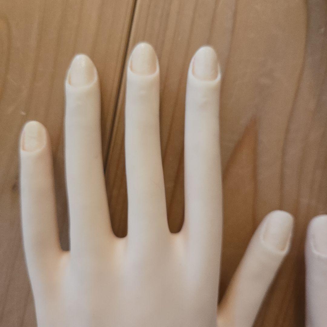 JNEC認定モデルハンド ネイリスト検定 ハンドくんネイル技術検定用 2個セット