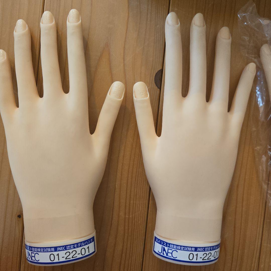 JNEC認定モデルハンド ネイリスト検定 ハンドくんネイル技術検定用 2個セット