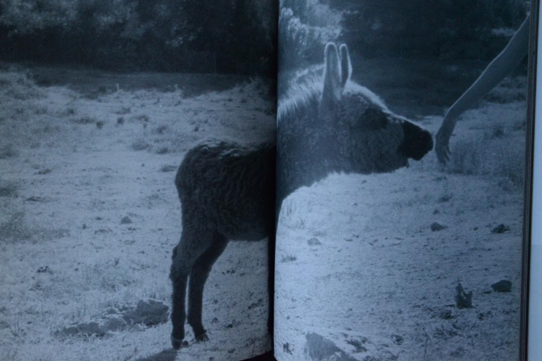 【Mark Borthwick：The Heart Land 】★美本