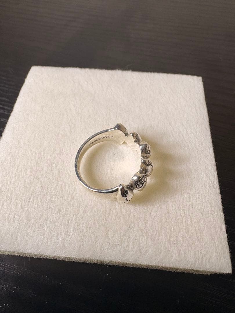 ジョジョの奇妙な冒険 S・P・リング 13号