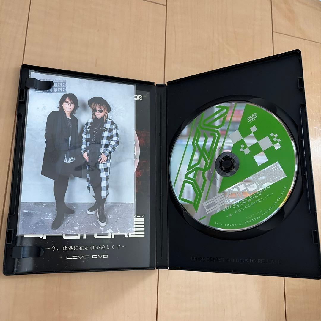 ミュージック Cocorico DASEIN FEATURE FUTURE LIVE DVD