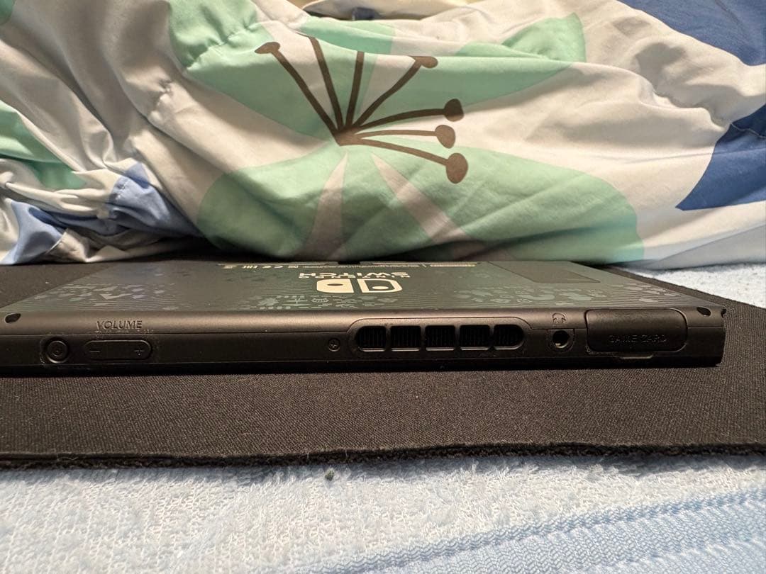 Nintendo Switch 本体　あつまれどうぶつの森