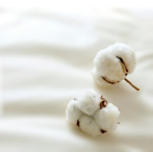 むーです。nishikawa 羽毛掛け布団 190×210cm