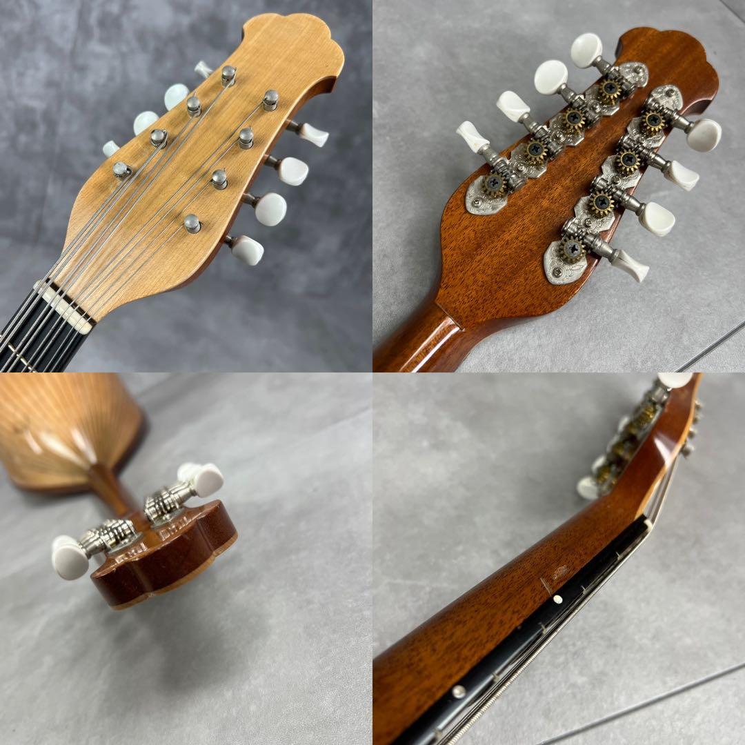 希少　名工 野口實　マンドラ　DM-51　ハンドメイド　弦楽器　大型マンドリン